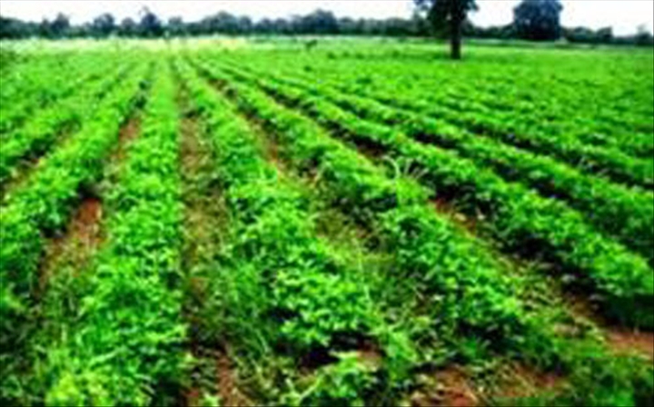 Programme de productivité agricole en Afrique de l’Ouest Les membres