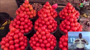 Transformation de la tomate bientôt une usine à Bobo Dioulasso